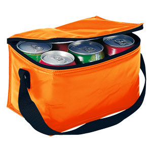 Bolso Cooler