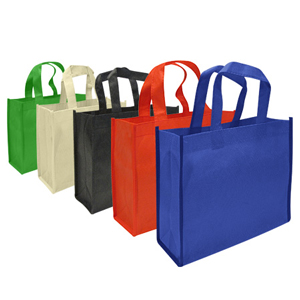 Bolsa Ecológica