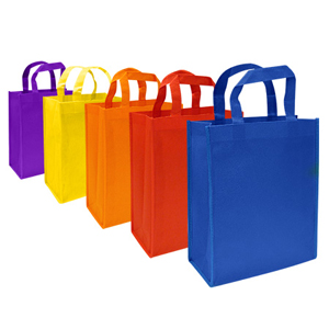 Bolsa Ecológica