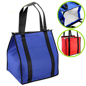 Bolso Ecológico Cooler
