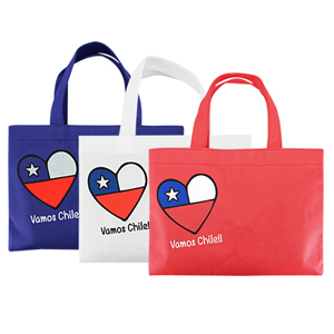 Bolsa Ecológica