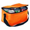 Bolso Cooler